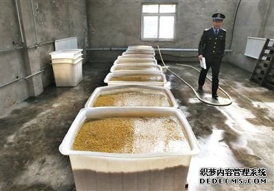 “基地”的豆芽車間內(nèi)浸泡著大量黃豆，執(zhí)法人員正在現(xiàn)場(chǎng)勘查。