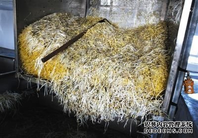 大興豆芽非法生產(chǎn)“基地”的車間內(nèi)，已經(jīng)生產(chǎn)出來(lái)的豆芽正在等待最后一道清洗工序。這些豆芽的長(zhǎng)度接近20厘米，遠(yuǎn)遠(yuǎn)超過(guò)正常豆芽。